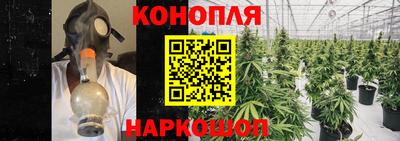 jwh Краснодар