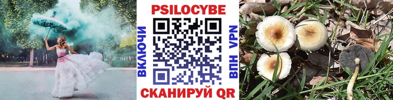 Галлюциногенные грибы GOLDEN TEACHER  ссылка на мегу сайт  Избербаш  цена  