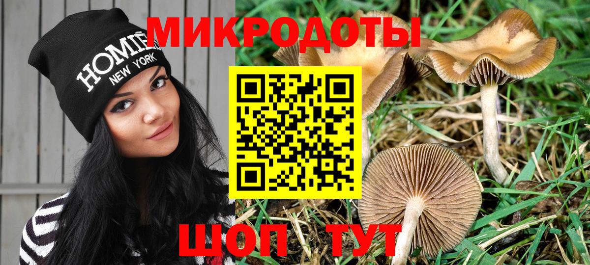 Псилоцибиновые грибы мухоморы  Вход с VPN  Избербаш  Псилоцибиновые грибы прущие грибы 